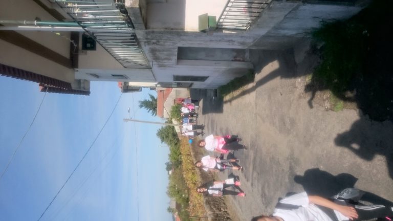 2017-731