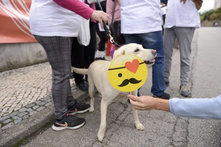 caminhda2018-0216
