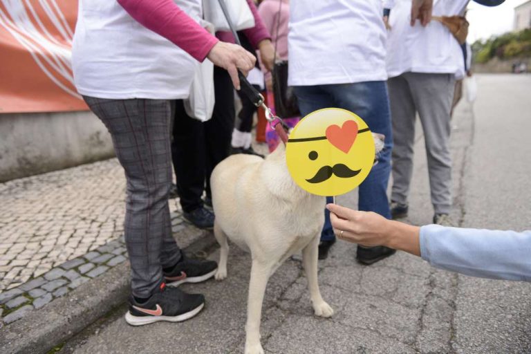 caminhda2018-0217
